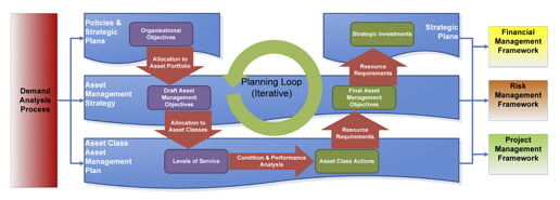 AM cycle2
