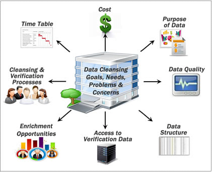 data cleansing goals